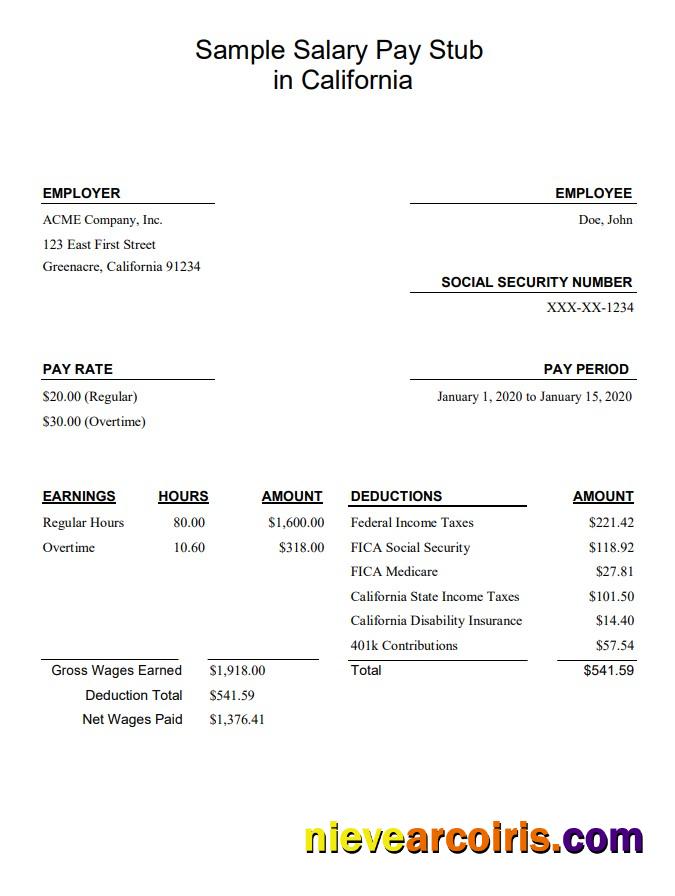 California salary pay stub